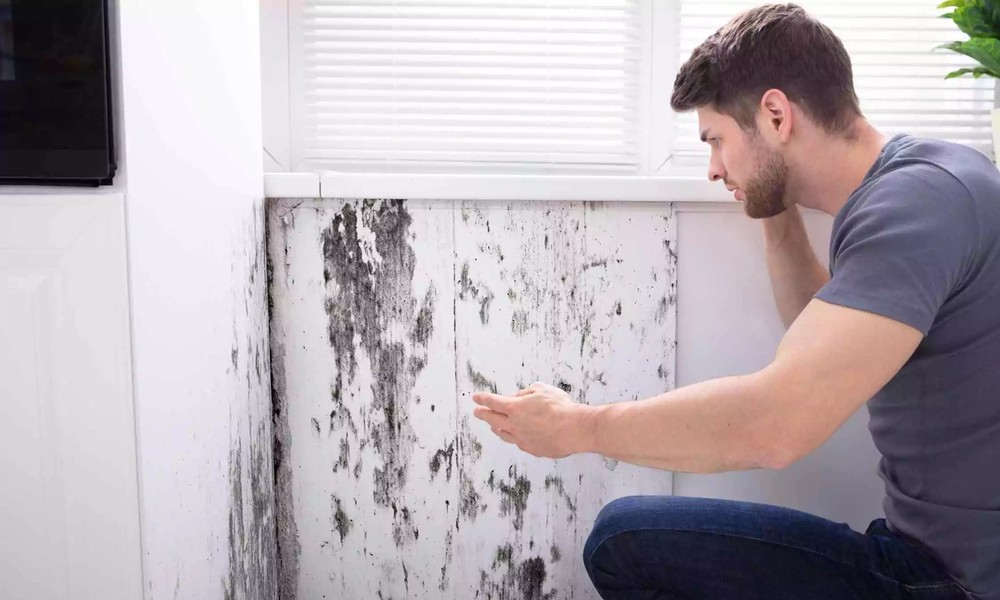 Water Leakage Solution to Prevent Costly Damage and Repairs