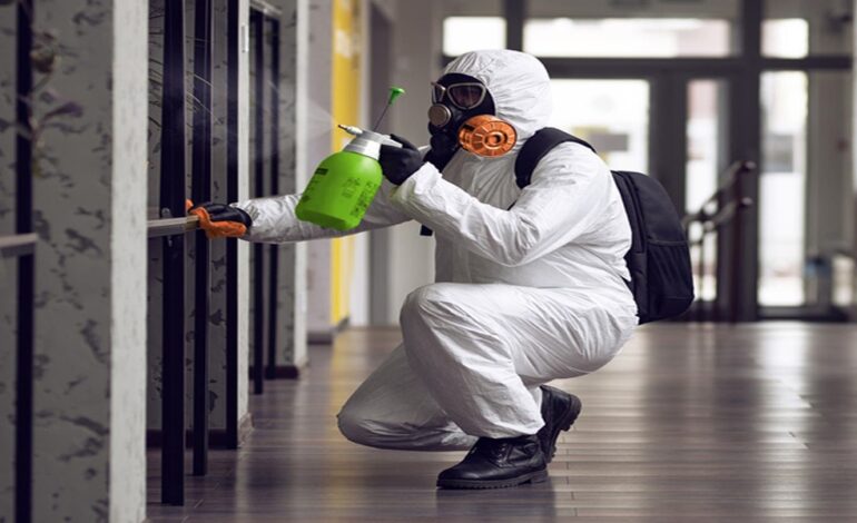 How Long Does Mold Removal Take?