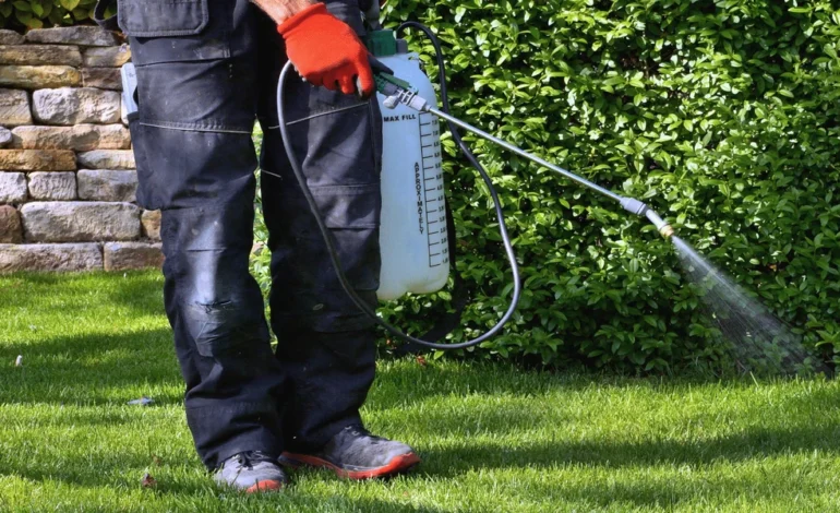 How Irrigation and Heat Influence Pest Control in Menifee