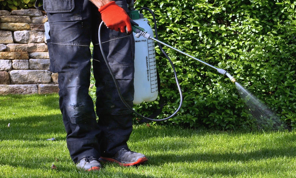 How Irrigation and Heat Influence Pest Control in Menifee